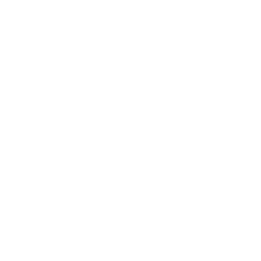 HD-Cam